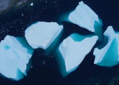 Безмежне різноманіття води (фото)